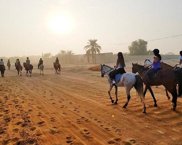 jízda na koni Dubaj