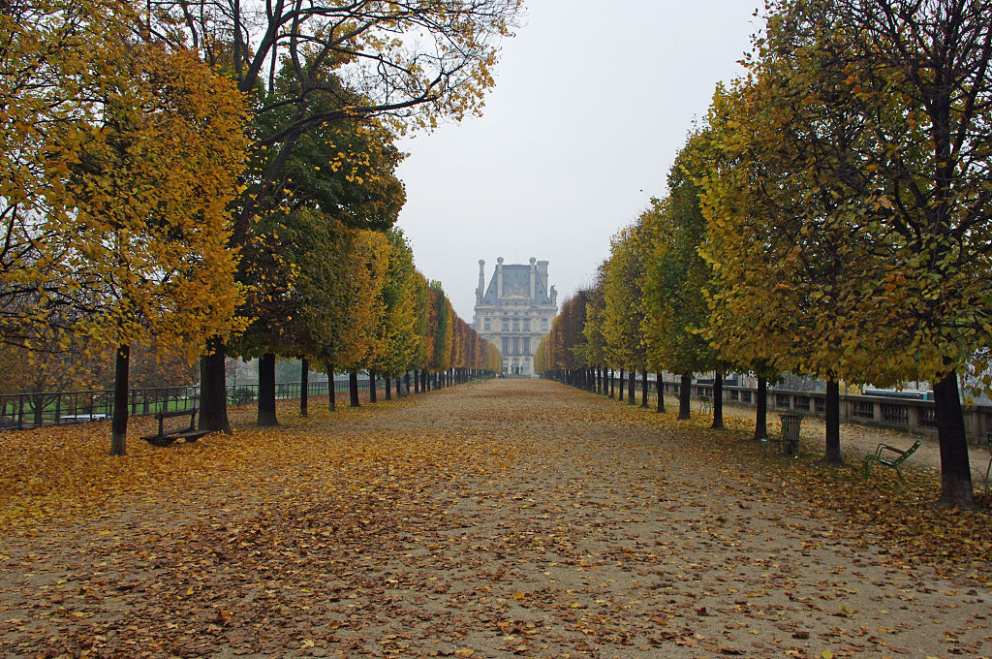 5. Pařížské parky mají na podzim zvláštní kouzlo, a to platí i&nbsp;pro Tuilerijské zahrady
