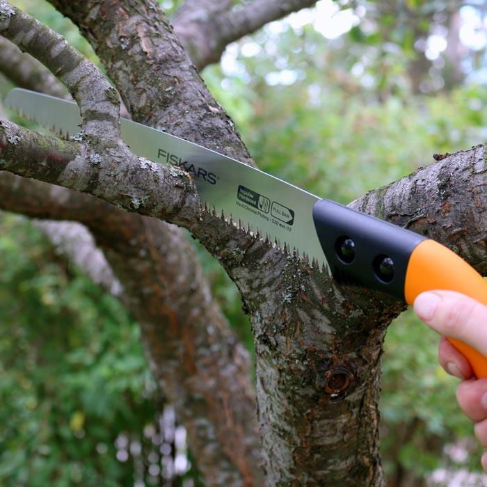 Se silnějšími větvemi si lépe než nůžky poradí dobře naostřená ruční pilka. Nestříhejte větve tlustší, než 5-7 cm, aby si strom mohl rány zahojit. Foto: Fiskars