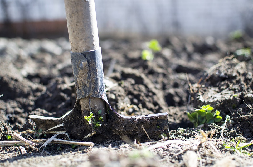 Pokud hodláte jakýkoliv kousek půdy osázet, musíte ji pořádně prokypřit a zrýt, jinak budou vaše rostliny živořit. Foto: Pixabay.com