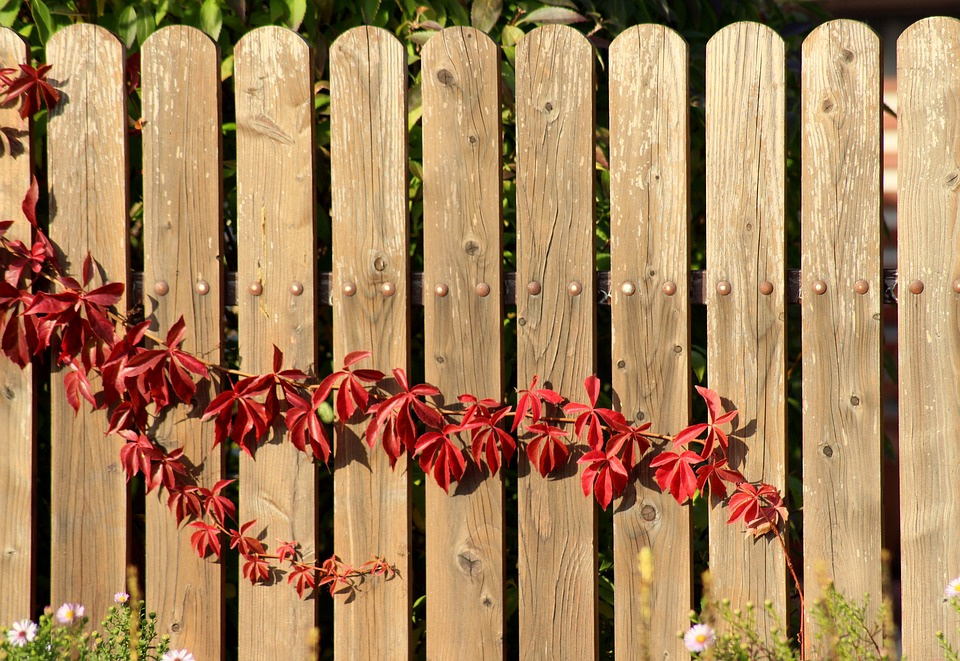 Dřevěný plot vypadá krásně v jakékoliv podobě – nový i trochu oprýskaný. Když se o něj ale nebudete starat, za několik let se může rozpadnout. Foto: Pixabay.com