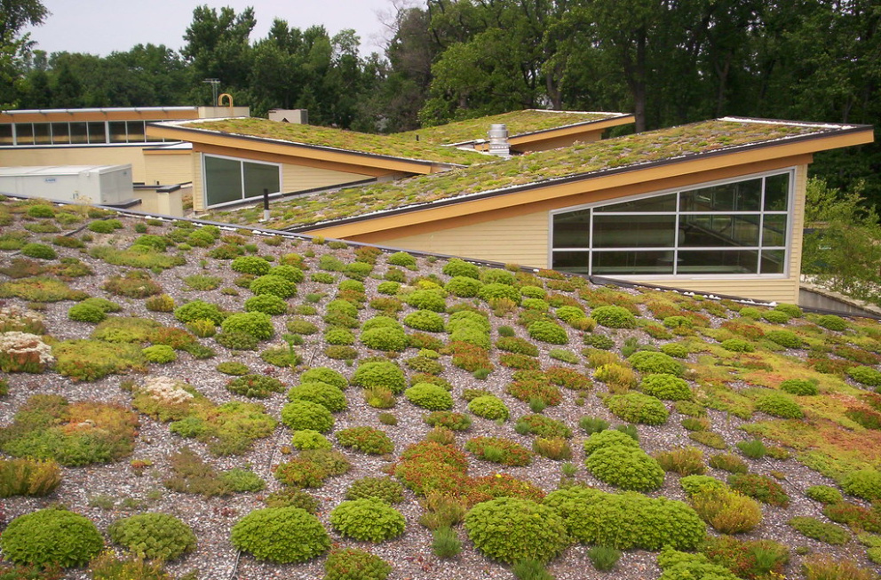 Se zelenými střechami mají zkušenosti hlavně města s horkým klimatem, takto například vypadá střecha komunitního centra Walter Reed v americkém Arlingtonu. Foto: greenroofs.com 