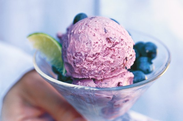V kuchařce Zmrzliny naleznete přes 90 receptů na ty nejlepší zmrzliny, sorbety a další dobroty. 