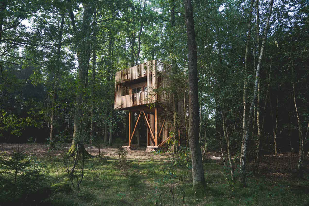 Domek uprostřed lesa