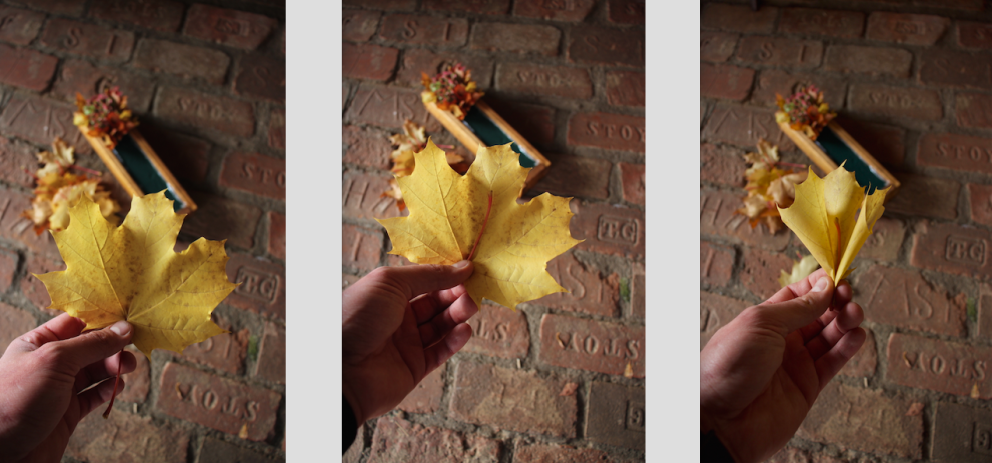 Vyrobte si s námi podzimní věnec z javorového listí 