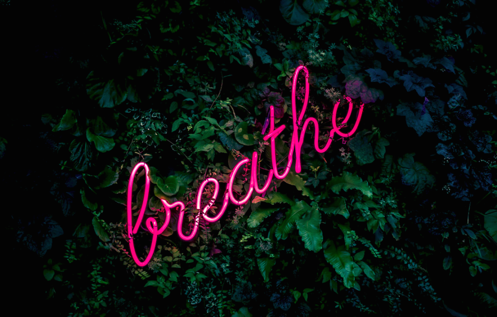 Dýchat