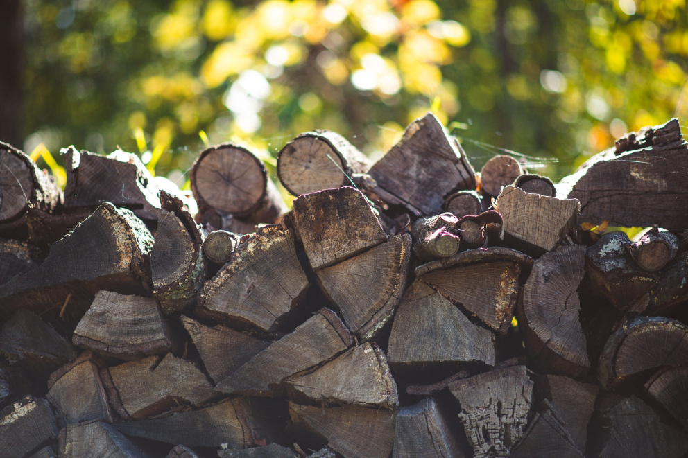 Jak správně vybrat dřevo na topení