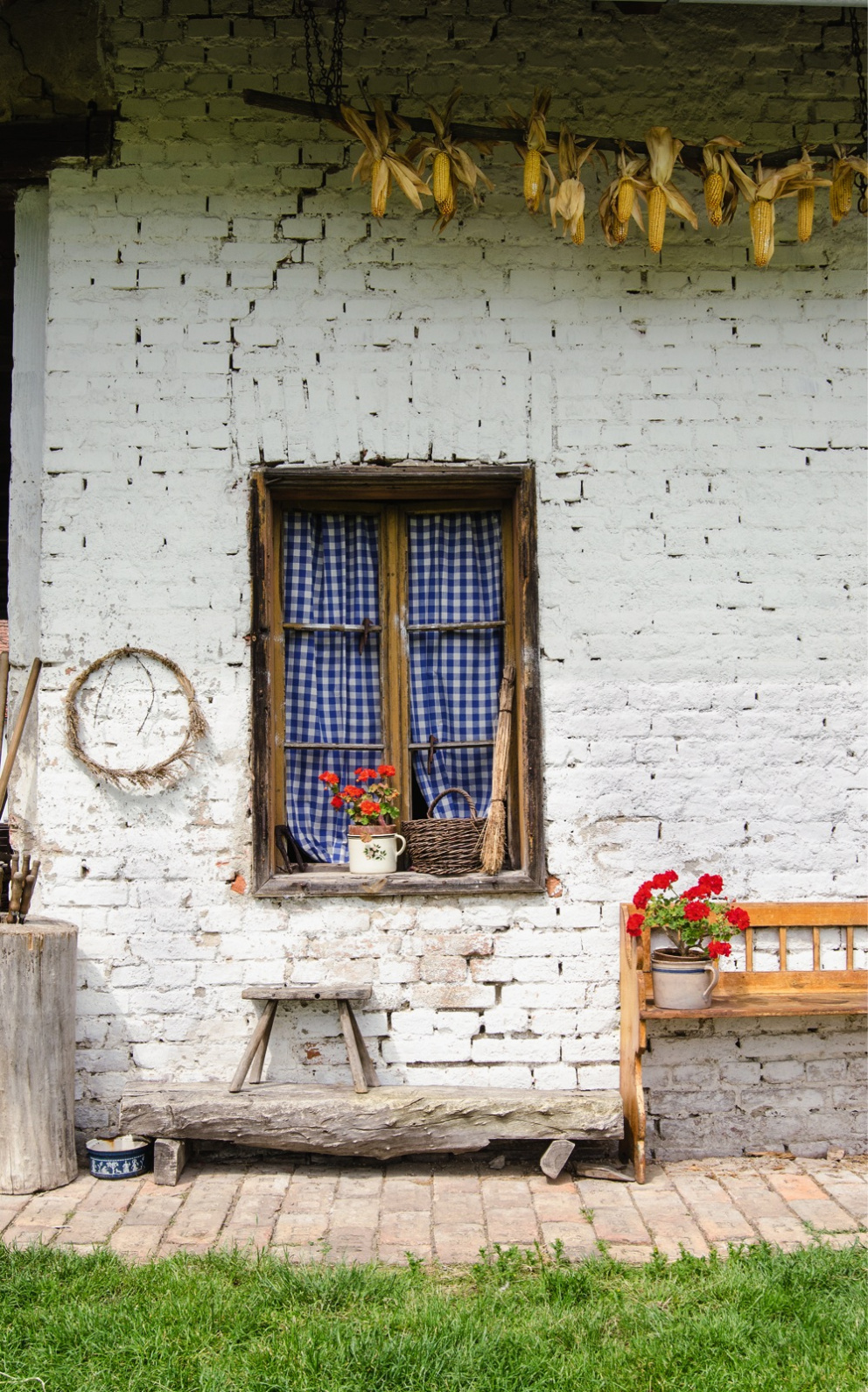 Krásné muškáty zdobí i okno do stodoly
