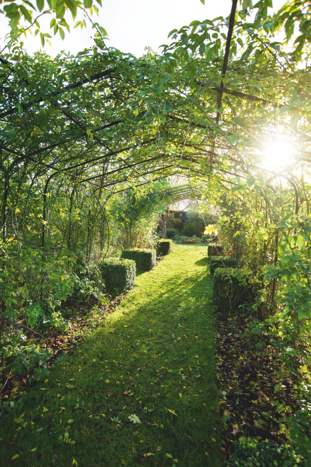 Průhled – typický prvek pro anglickou zahradu