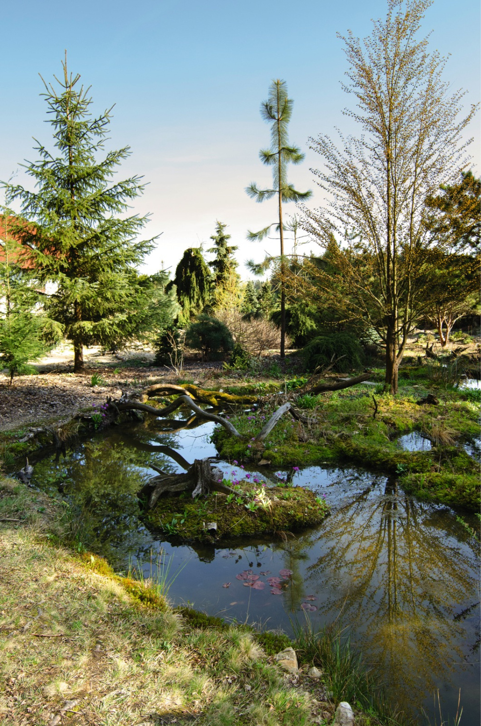 Majitel zahrady nedaleko Jindřichova Hradce si pohrál s vodou a znásobil tak okolní krásu