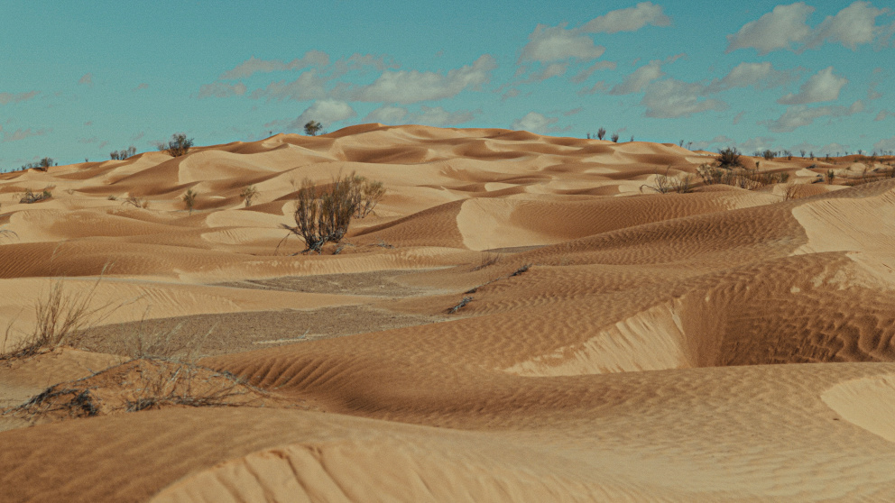 Saharská poušť