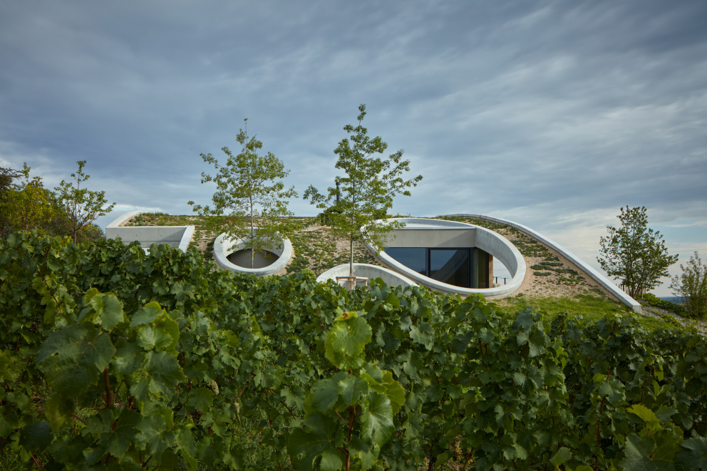 Jak může vypadat vinařství hodné architektury 3. tisíciletí? Český architekt vytvořil fascinující dílo