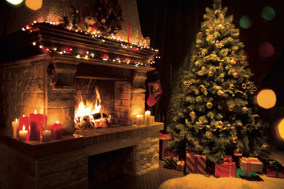 Nepřehlédněte: Vše, co potřebujete vědět o živém vánočním stromečku a jak o něj pečovat