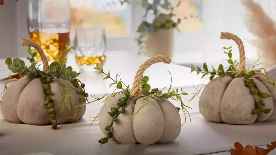 Zapomeňte na plast a pomíjivé trendy: Betonové dýně jsou podzimní hit, který vydrží věčně