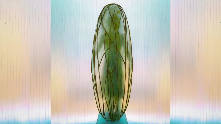 Když smrt kvete: Pohřební kokon, který se stává kvetoucí zahradou a mění vnímání posledního rozloučení