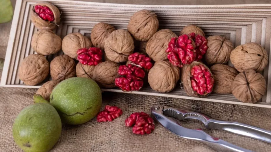 Zázrak z ořechové skořápky: Červená jádra se stanou hitem letošních Vánoc