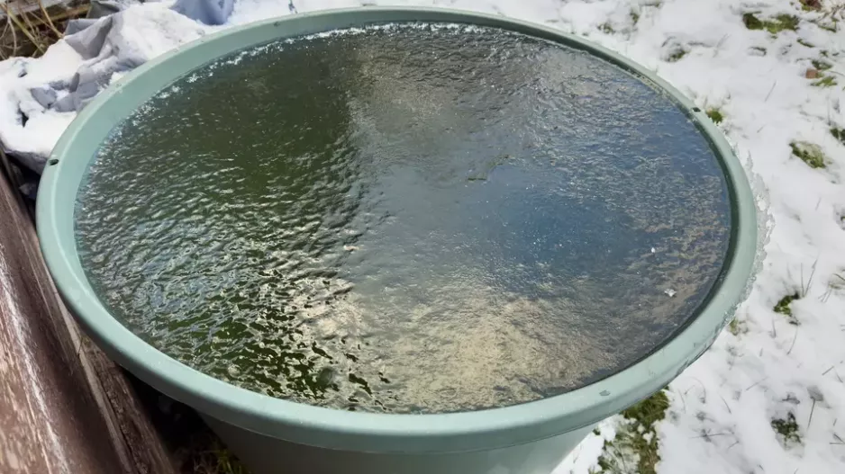 Jak ochránit sud na dešťovou vodu před mrazem, zabránit prasknutí a ušetřit tisíce