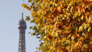 1. Barevný podzim jinak černobílou Paříž krásně rozzáří a v kombinaci s Eiffelovou věží je to zkrátka nádhera