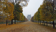 5. Pařížské parky mají na podzim zvláštní kouzlo, a to platí i pro Tuilerijské zahrady